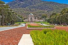 TESTIMONIAL - Shane and Vicki Williamson