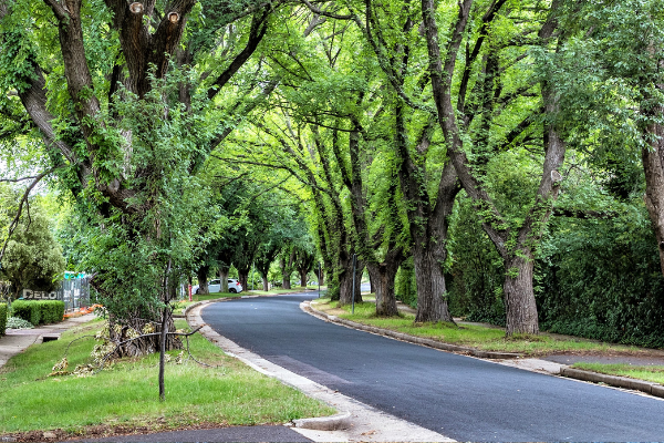 What valuers are looking for in Canberra properties