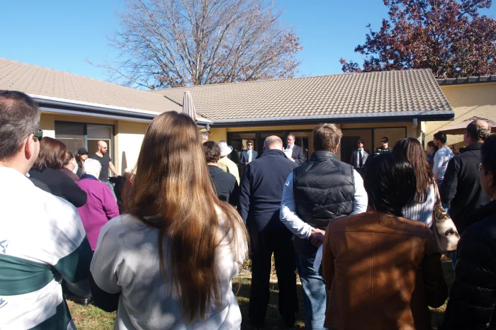 Quick Tips on Bidding at Auction