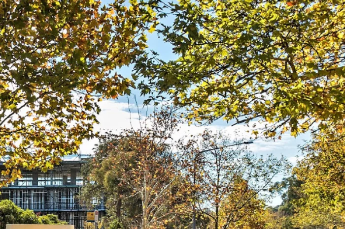 Buying your first investment property? Choose your property management wisely - this is how